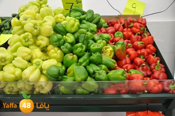 souq gan temar (16).JPG